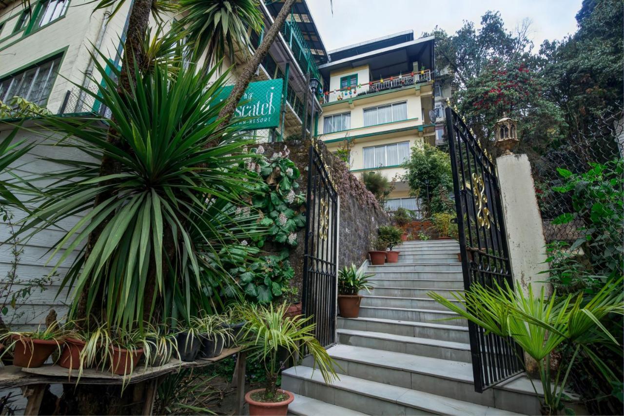 Muscatel Himalayan Resort - 400 Mts From Mall Road Darjeeling  Exterior photo